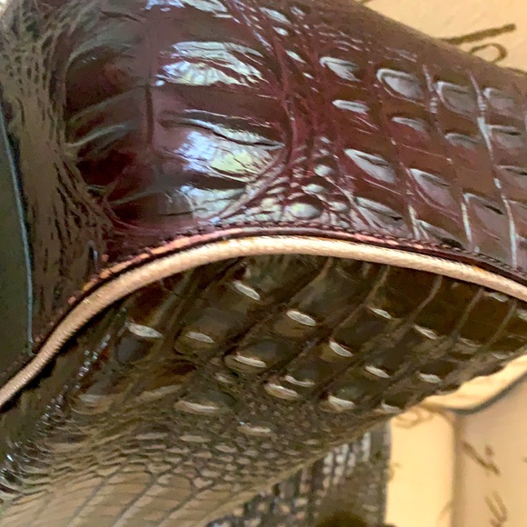 Brahmin - Picture 9 of 12